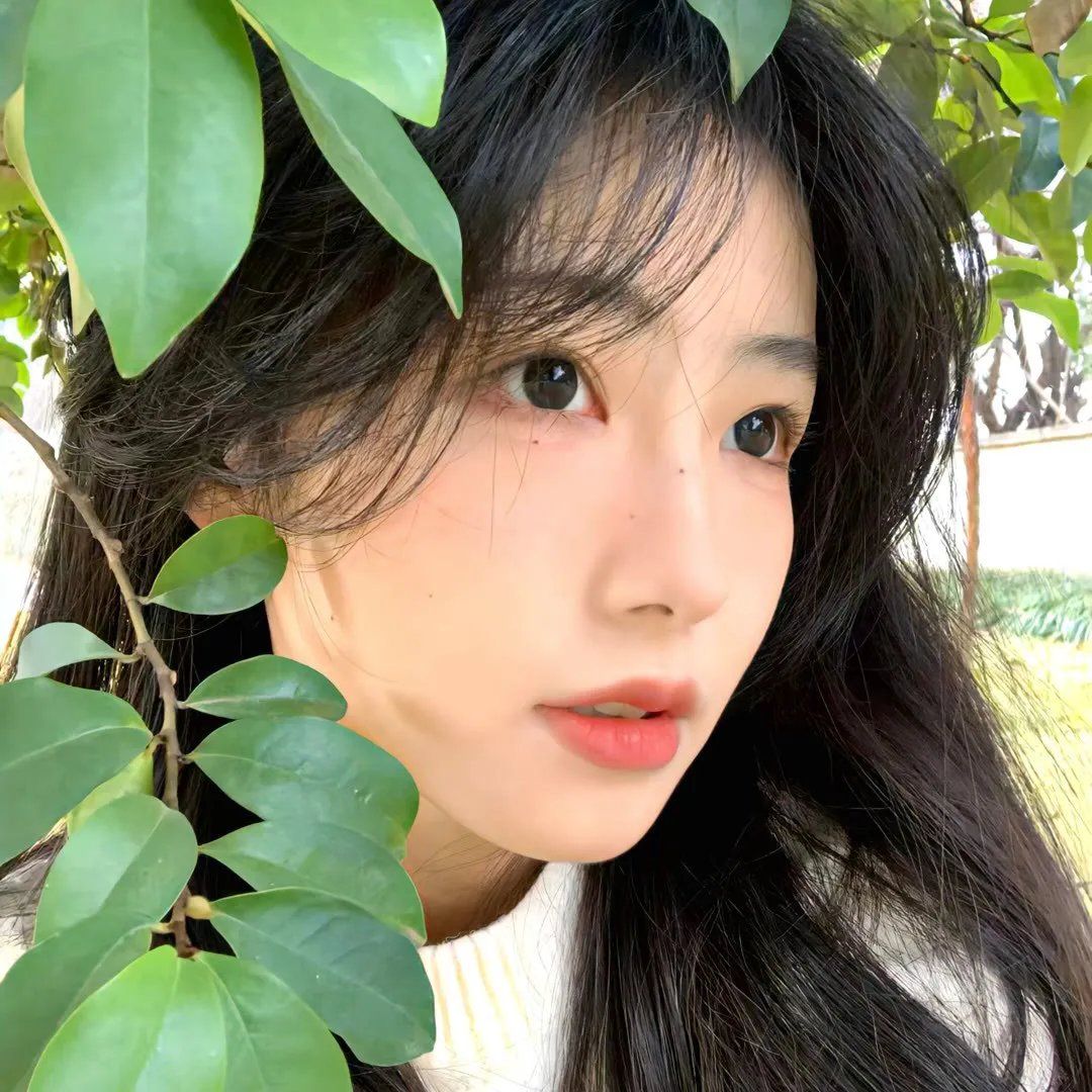 我们的生活 高清封面