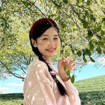 莉莉卡与魔幻魔法学校 高清封面